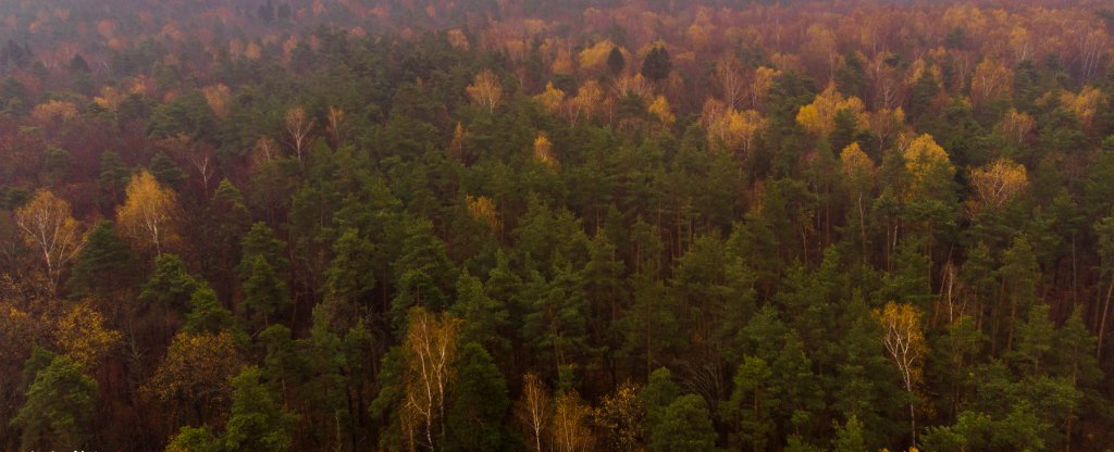 Московская область город Дзержинский,  - Фото с квадрокоптера