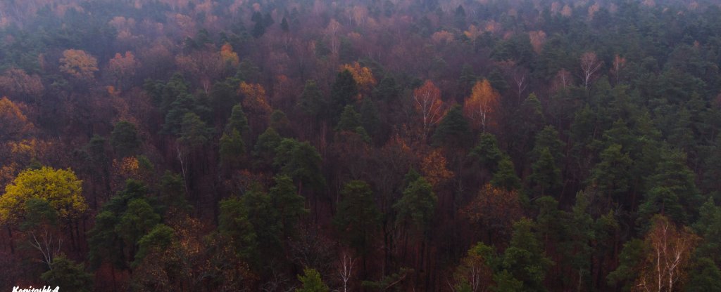 Московская область город Дзержинский,  - Фото с квадрокоптера