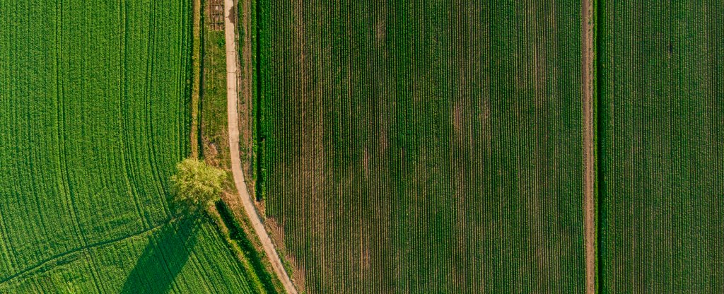 Симметрия поля, Серпухов - Фото с квадрокоптера