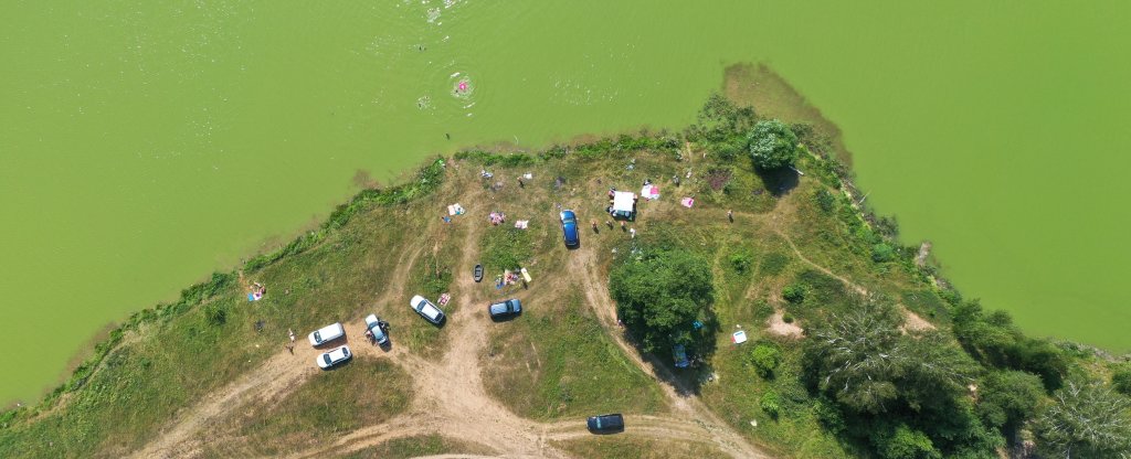 Зелёное купание,  - Фото с квадрокоптера