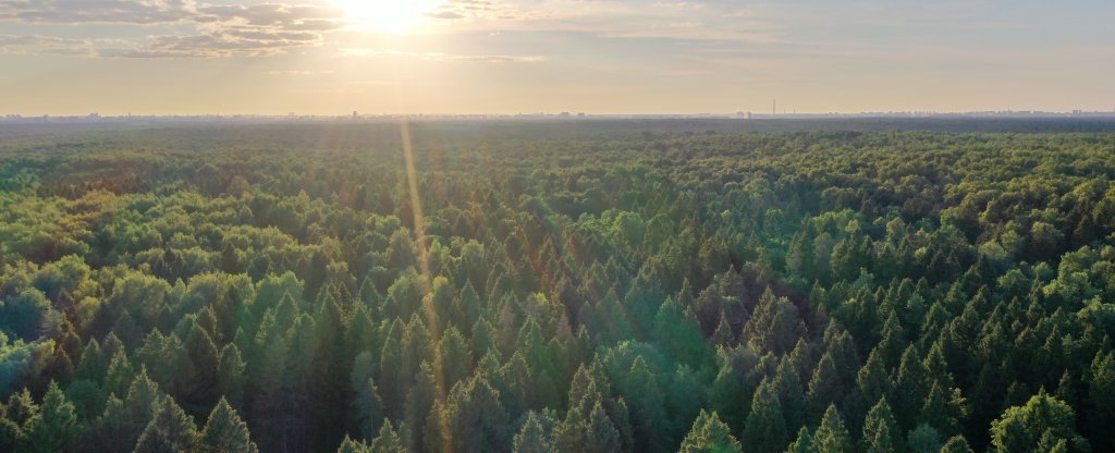 Зелёное море,  - Фото с квадрокоптера