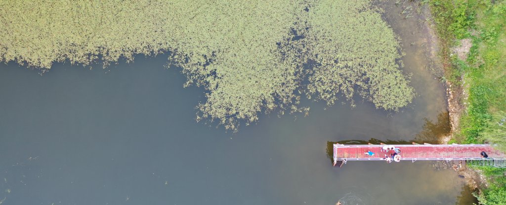 Купальщики,  - Фото с квадрокоптера