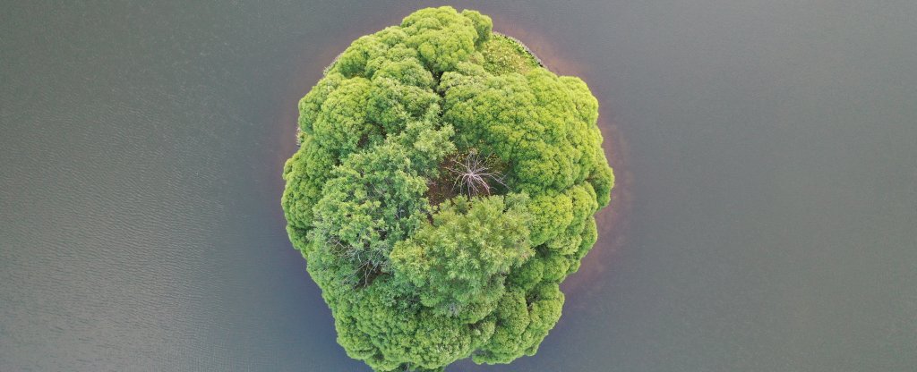 Зелёный взрыв,  - Фото с квадрокоптера