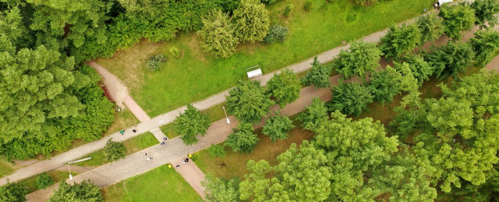 Дорожки в парке,  - Фото с квадрокоптера