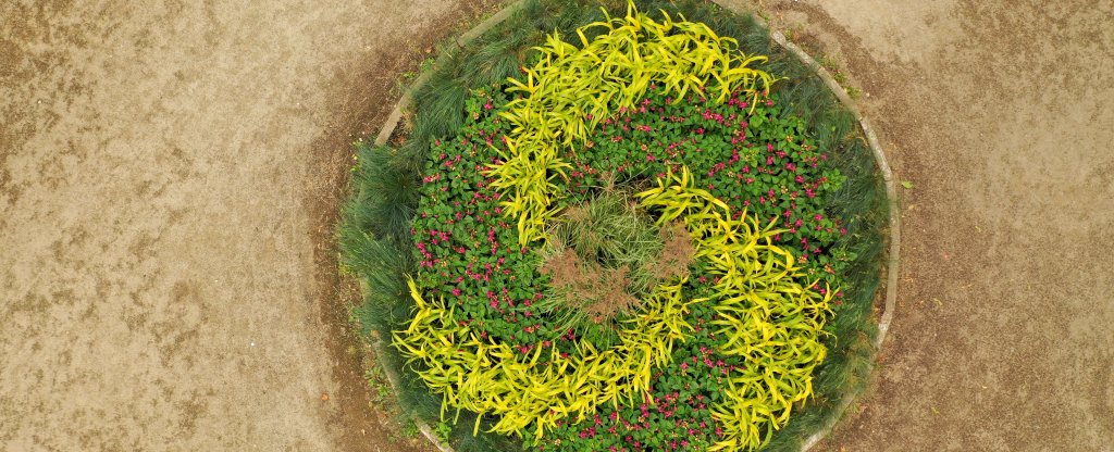 Геометрия цветов,  - Фото с квадрокоптера