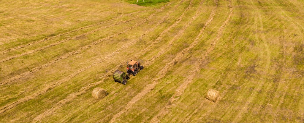 Уборка сена, Новосибирск - Фото с квадрокоптера