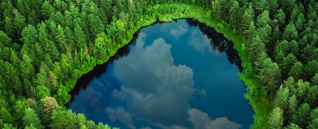 Озеро в лесу,  - Фото с квадрокоптера