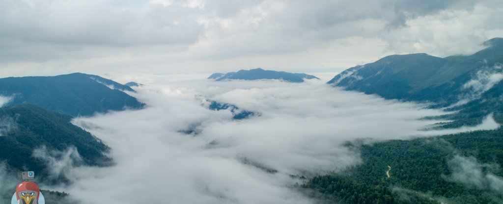 Лес покрытый туманом,  - Фото с квадрокоптера