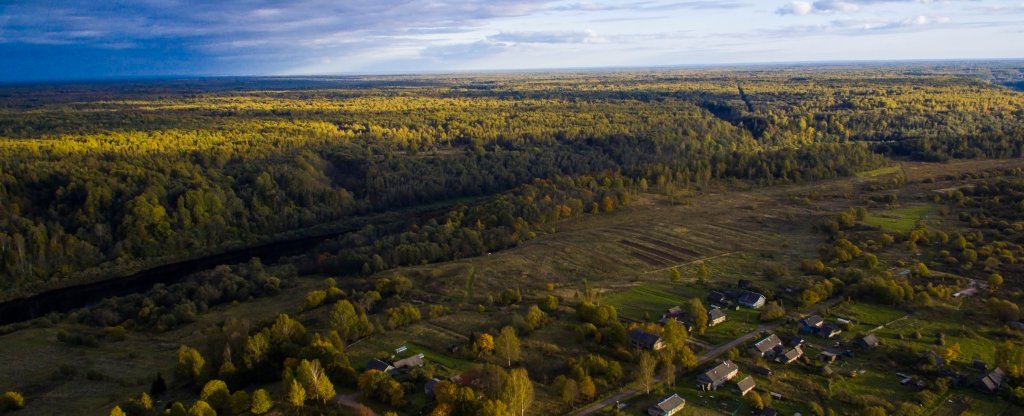 Лес над деревней, Старая Русса - Фото с квадрокоптера