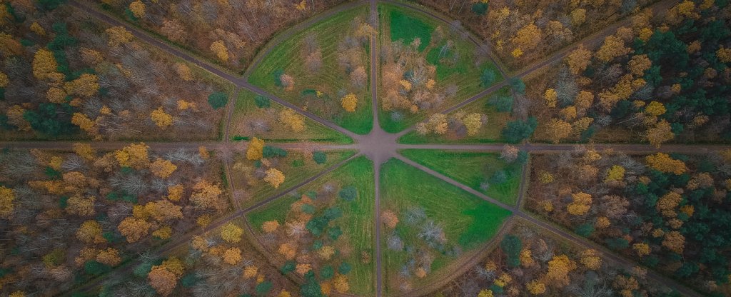 Сосновая Поляна,  - Фото с квадрокоптера