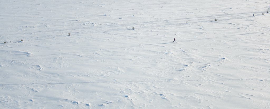 Обь,  - Фото с квадрокоптера