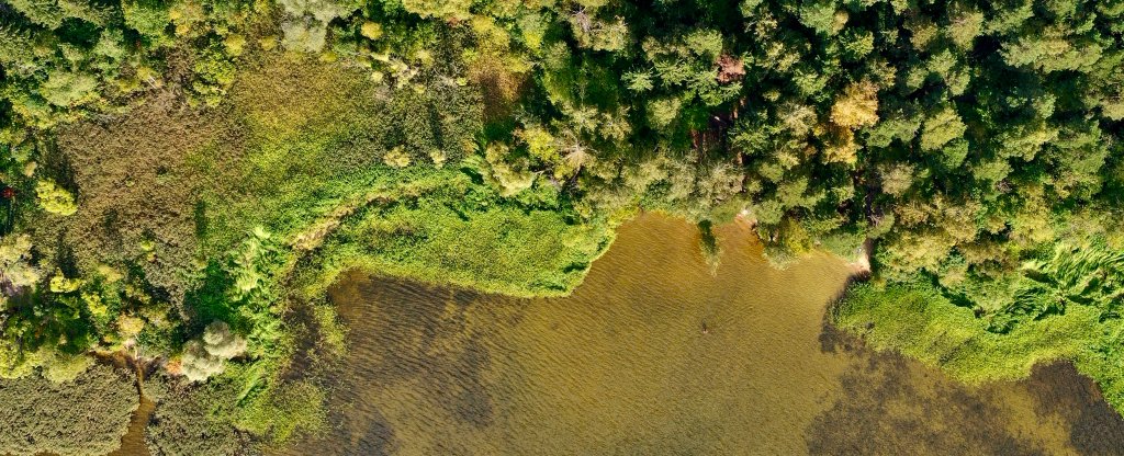 Акуловское водохранилище., Пушкино - Фото с квадрокоптера