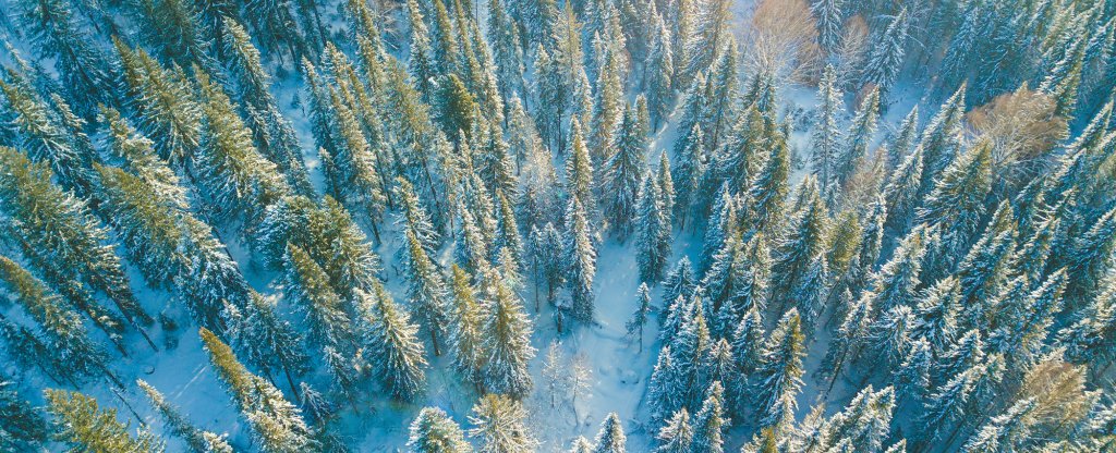 Утро в Сибири, Новокузнецк - Фото с квадрокоптера