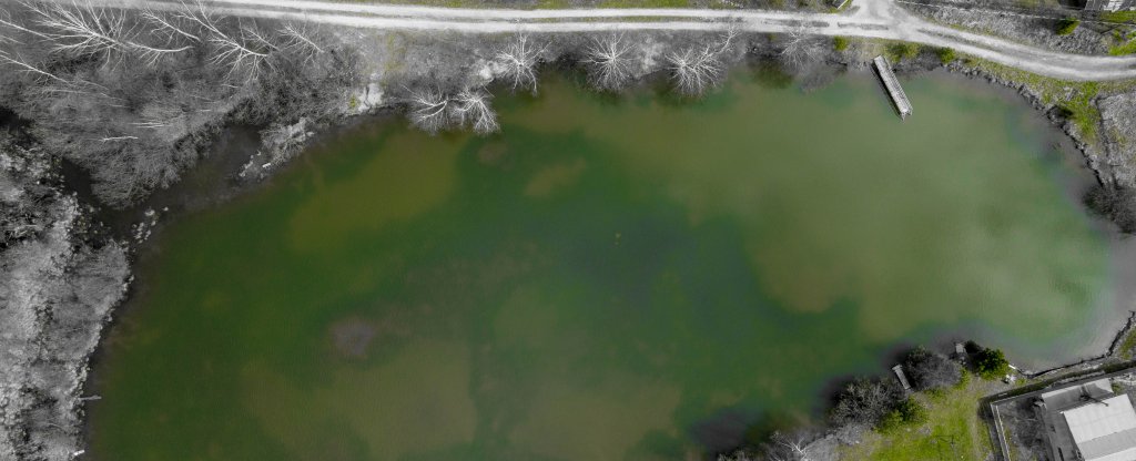 Болото,  - Фото с квадрокоптера