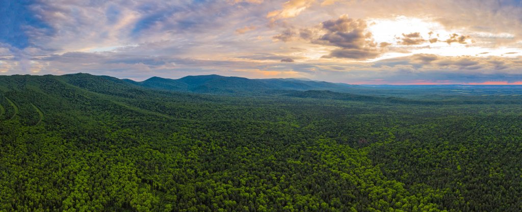 Тайга. Дальний Восток.,  - Фото с квадрокоптера