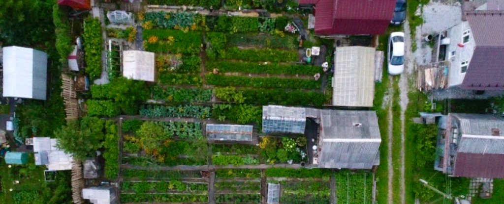 Садовый участок сверху,  - Фото с квадрокоптера