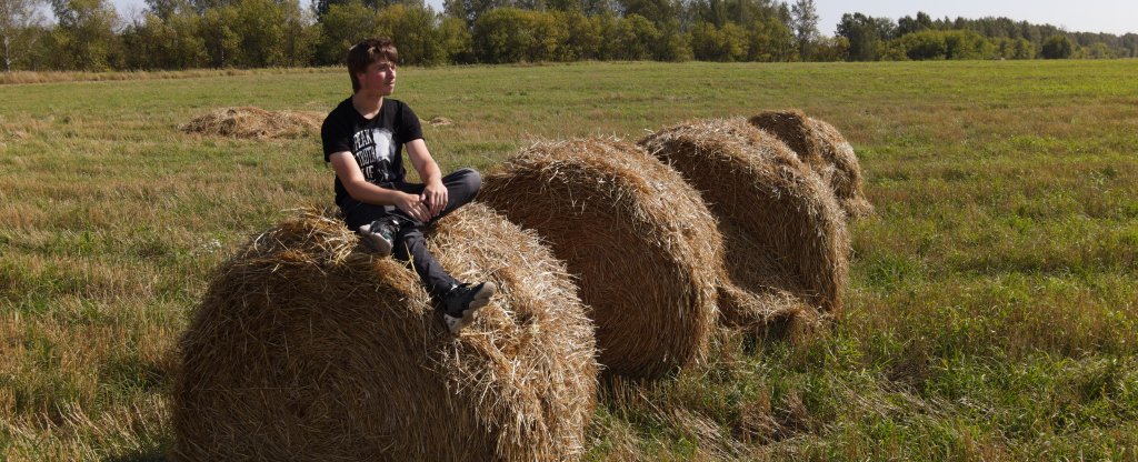 Человек на сене,  - Фото с квадрокоптера