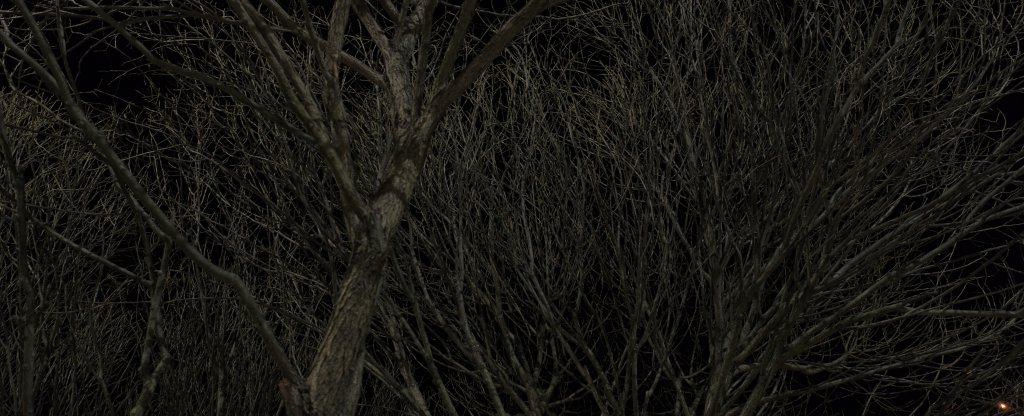 Ветви, Протвино - Фото с квадрокоптера