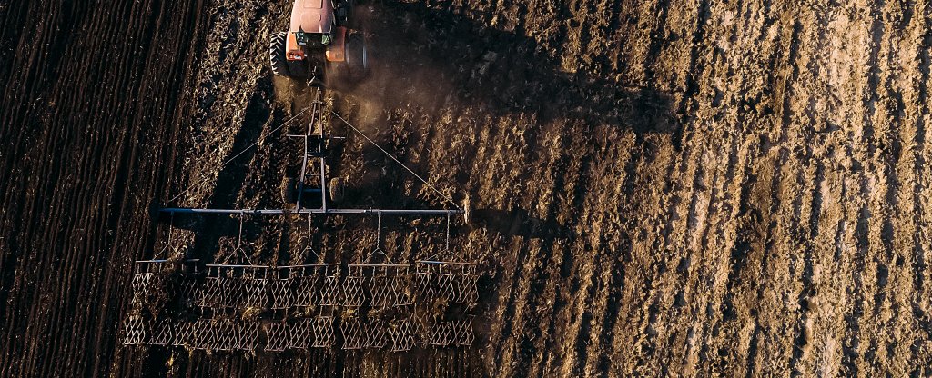 Полевые работы_02,  - Фото с квадрокоптера