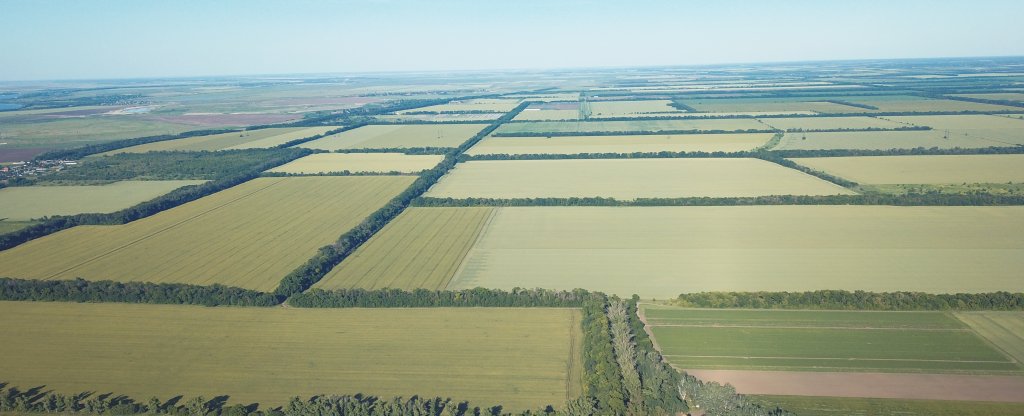 Поля., Ростов-на-Дону - Фото с квадрокоптера