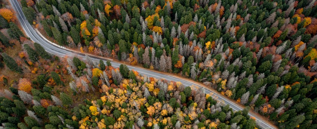 Осень,  - Фото с квадрокоптера