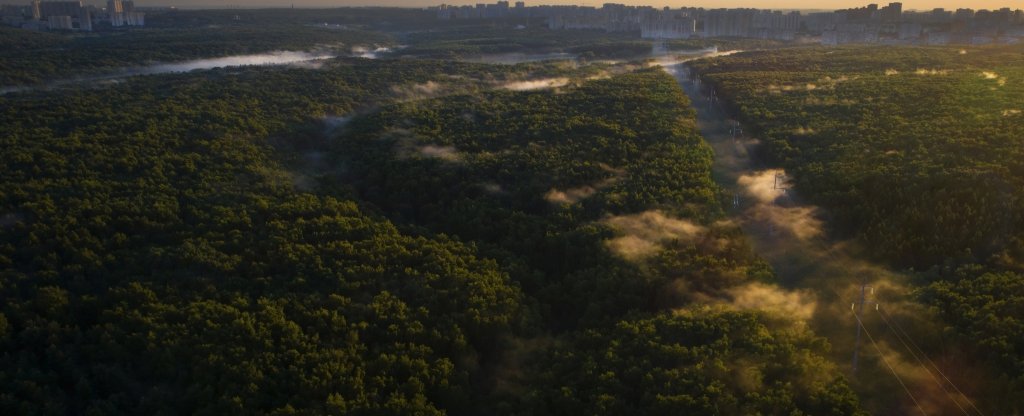 Рассвет, туман,  - Фото с квадрокоптера