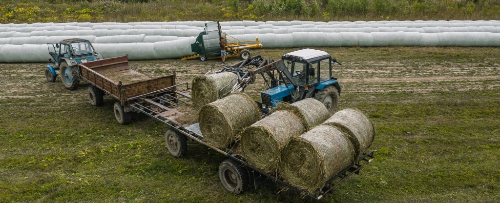 Заготовка корма на зиму,  - Фото с квадрокоптера