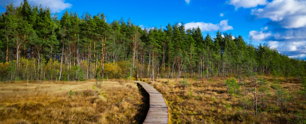 Экологическая тропа 