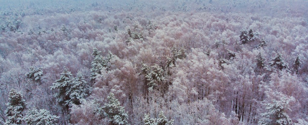 Зима,  - Фото с квадрокоптера