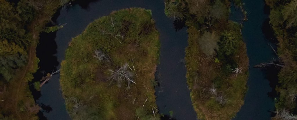 Изгиб реки, Рощино - Фото с квадрокоптера