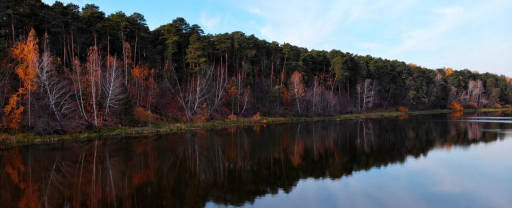 Гилевская роща г.Тюмень,  - Фото с квадрокоптера