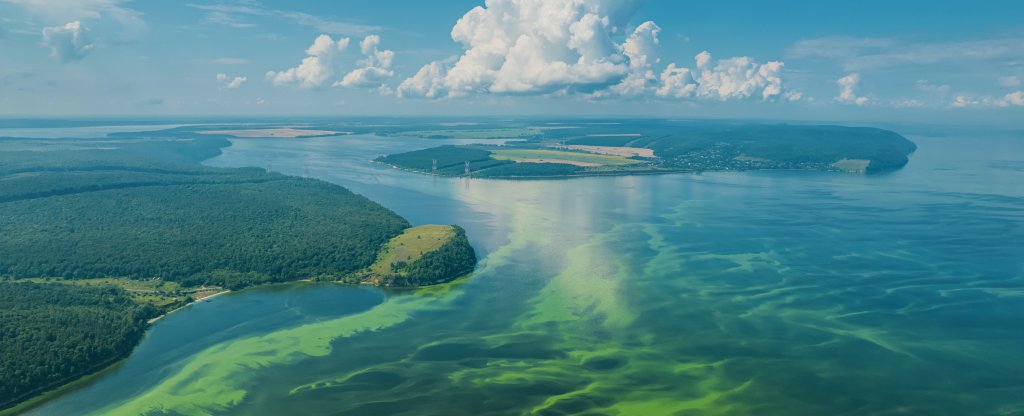Самарская Лука, недалеко от п. Жигули,  - Фото с квадрокоптера
