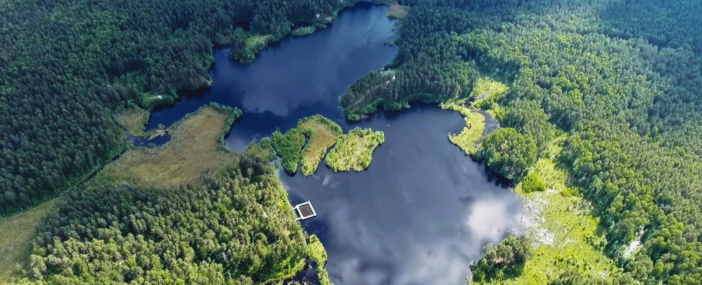 Святое озеро, Павлово - Фото с квадрокоптера