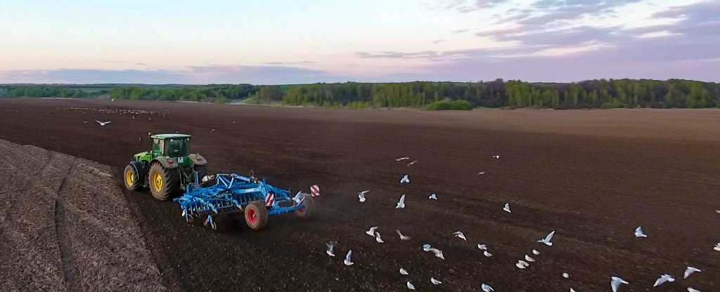 Сельскохозяйственные работы, Богородск - Фото с квадрокоптера