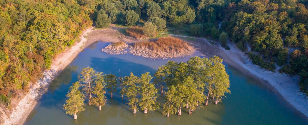 Болотные кипарисы, Анапа - Фото с квадрокоптера