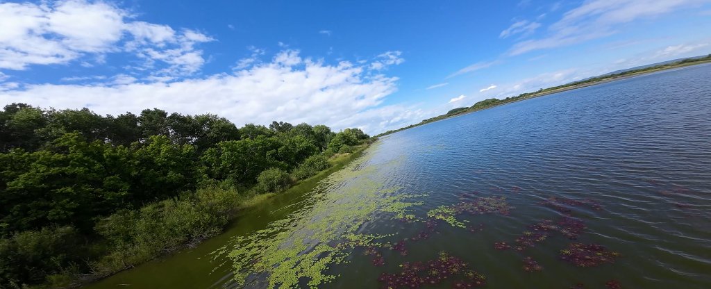 Озеров с кувшинками,  - Фото с квадрокоптера
