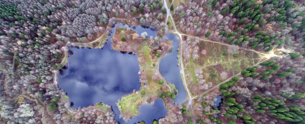 Шуваловский парк. Пруд 