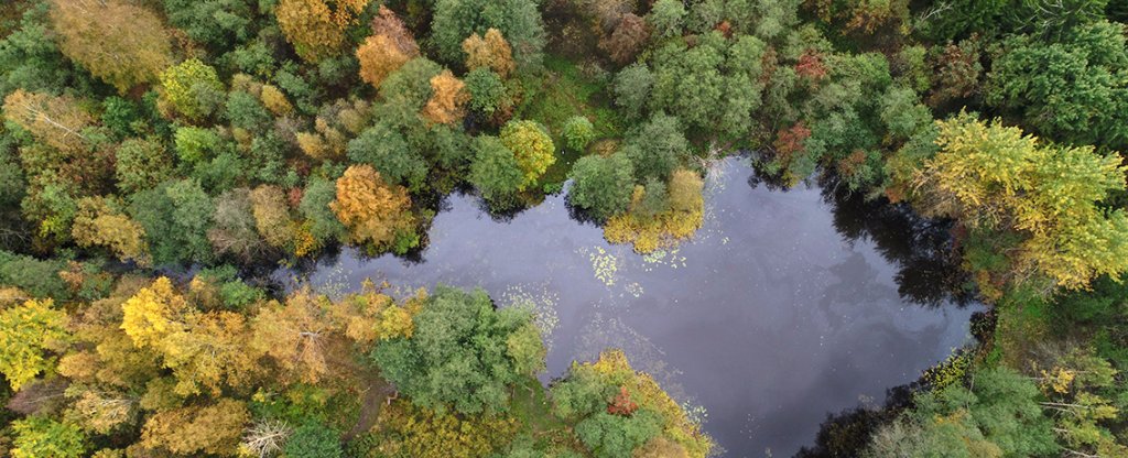Петровский пруд., Санкт-Петербург - Фото с квадрокоптера