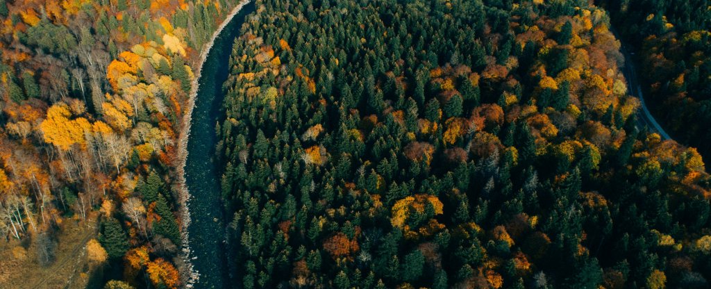 Осенний Домбай,  - Фото с квадрокоптера