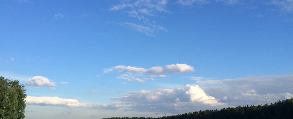 Поле,  - Фото с квадрокоптера