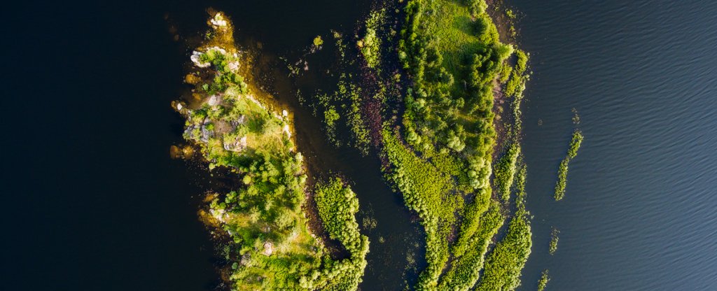 Лёгкие,  - Фото с квадрокоптера