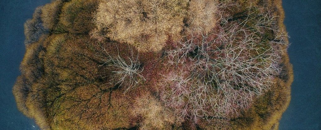 Bacterium, Москва - Фото с квадрокоптера