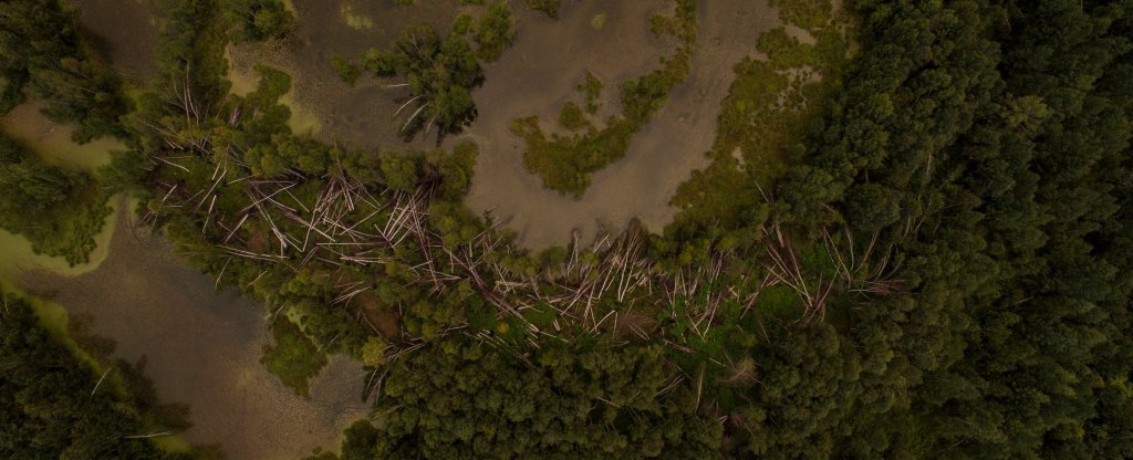 Болота, Красноярск - Фото с квадрокоптера