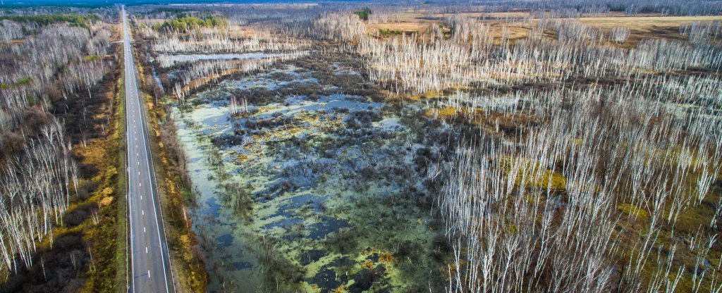 Где-то на Алтае, Барнаул - Фото с квадрокоптера