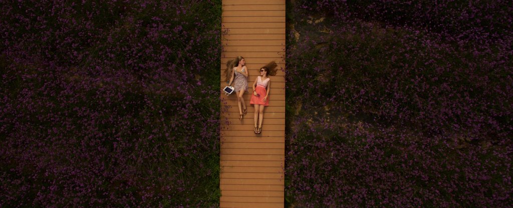 Портрет в цветах,  - Фото с квадрокоптера