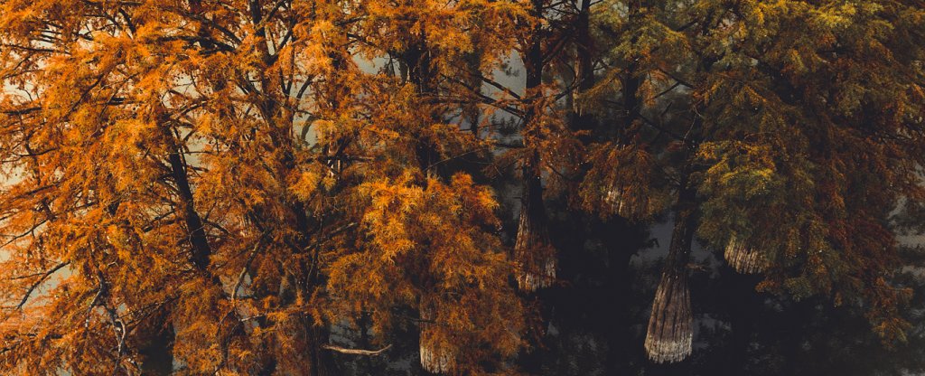 Природа России, Анапа - Фото с квадрокоптера