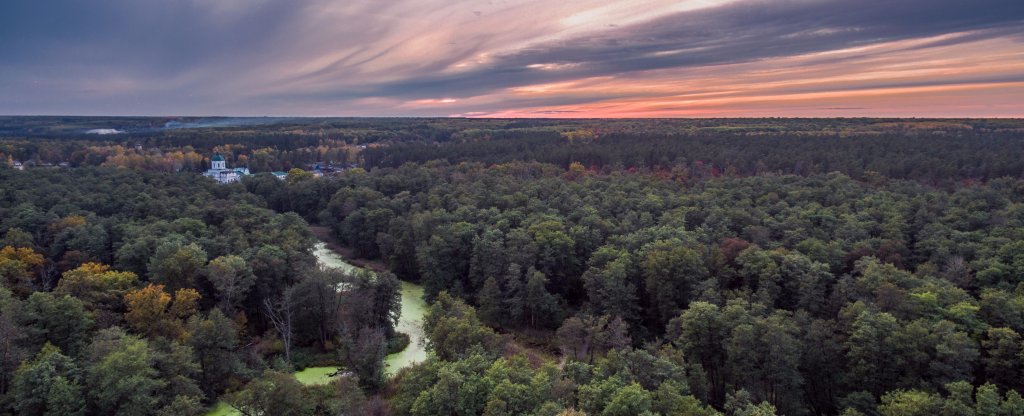 Воронежский Биосферный заповедник,  - Фото с квадрокоптера