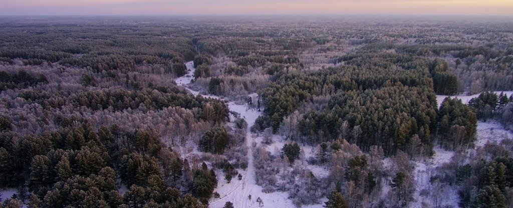Дорожка в лесу.,  - Фото с квадрокоптера