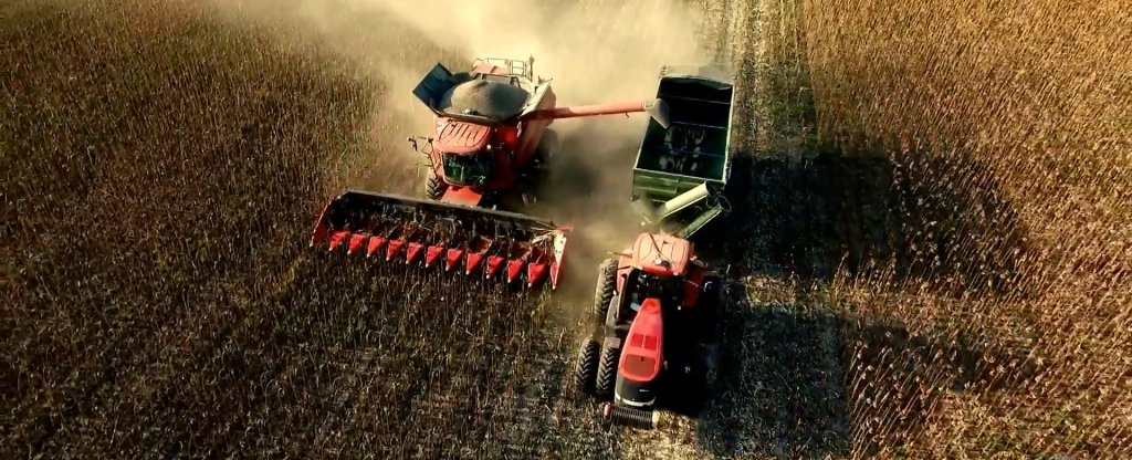 Камбайн,  - Фото с квадрокоптера