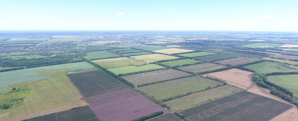 Поля,  - Фото с квадрокоптера